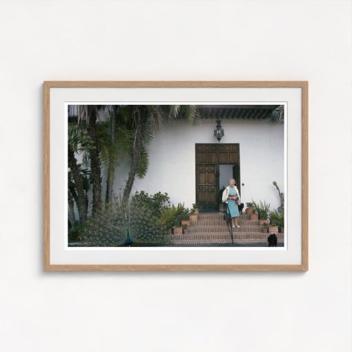 Florestal - Image 7