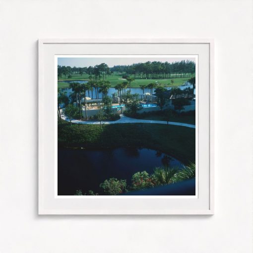 Florida Resort - Image 5