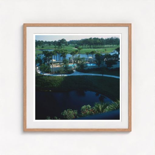 Florida Resort - Image 7