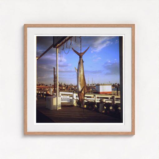 Game Fish - Image 7