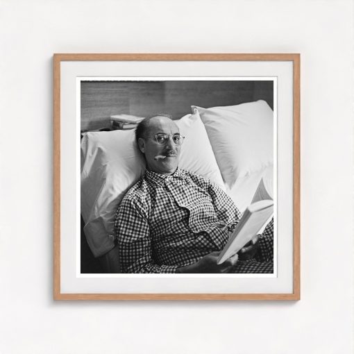 Groucho Marx - Image 7
