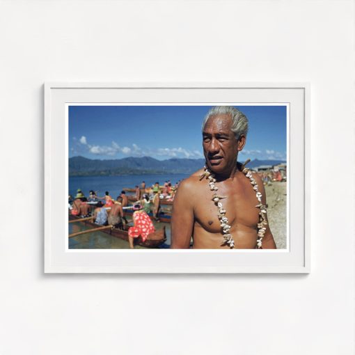 Hawaiian Hero - Image 5