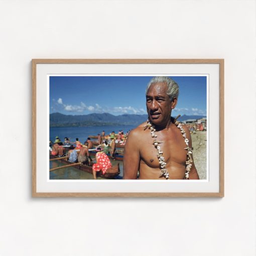 Hawaiian Hero - Image 7