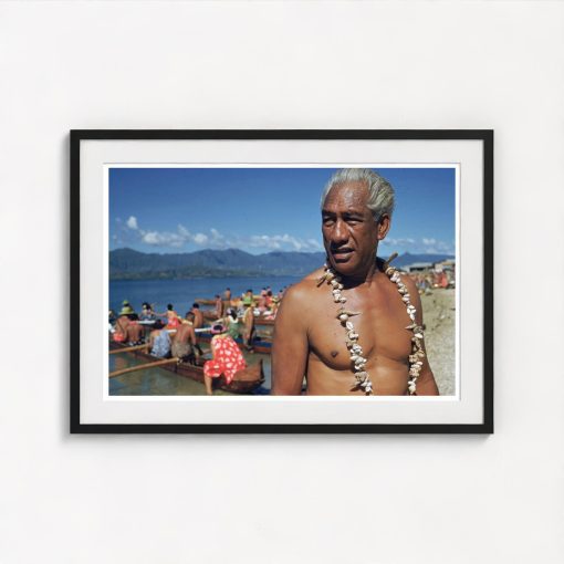Hawaiian Hero - Image 3