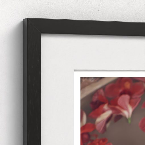 Hibiscus Flowers - Image 4