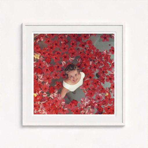 Hibiscus Flowers - Image 5