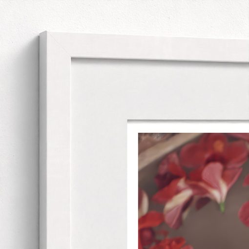 Hibiscus Flowers - Image 6