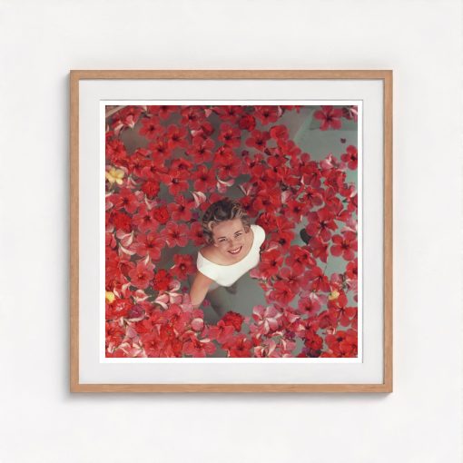 Hibiscus Flowers - Image 7