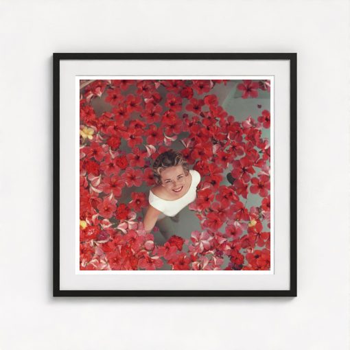 Hibiscus Flowers - Image 3