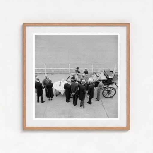 High Society Cricket - Image 7