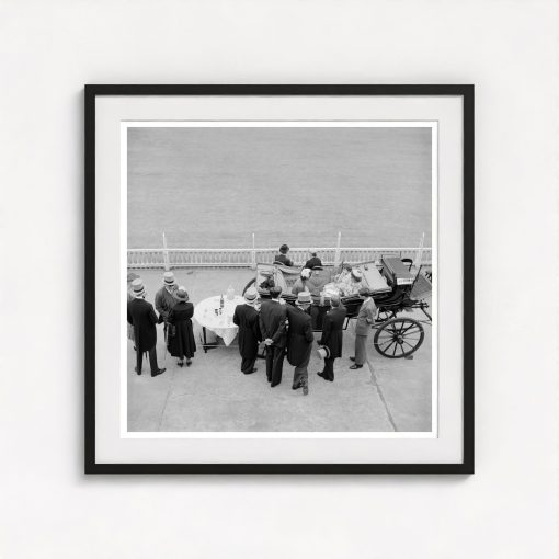High Society Cricket - Image 3