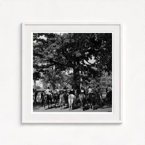 Horse Show - Image 5
