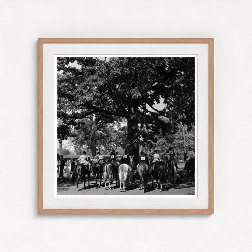 Horse Show - Image 7