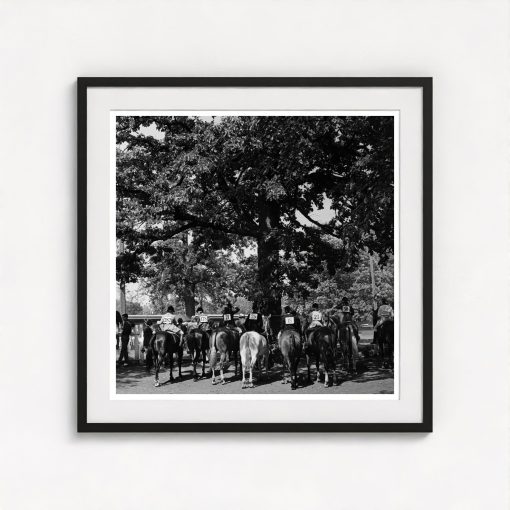 Horse Show - Image 3