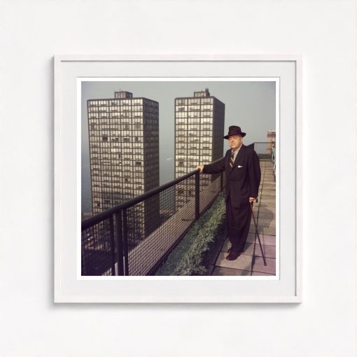 Mies In Chicago - Image 5