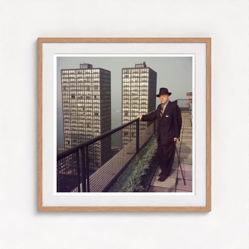 Mies In Chicago - Image 7