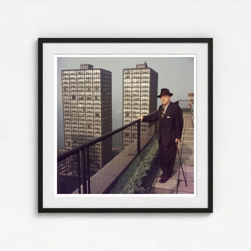 Mies In Chicago - Image 3