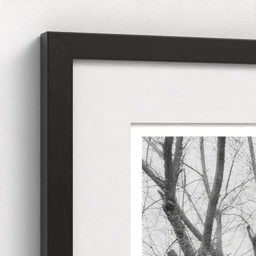 Missouri Hunt - Image 4