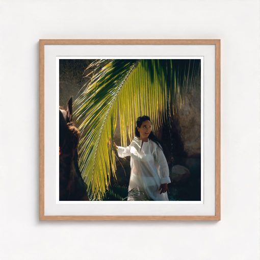 Oberon In Acapulco - Image 7