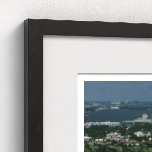 Palm Beach - Image 4