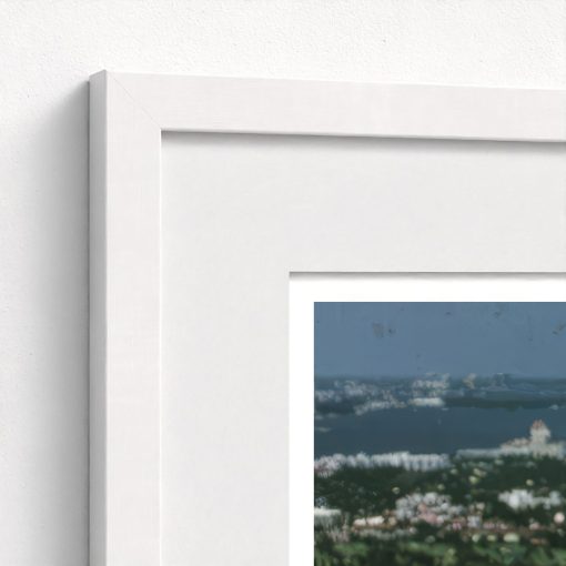 Palm Beach - Image 6