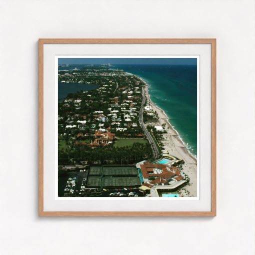 Palm Beach - Image 7