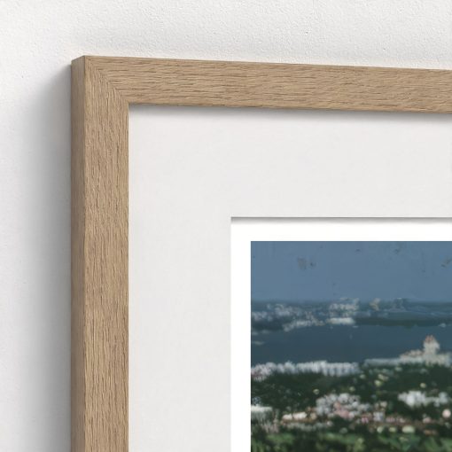 Palm Beach - Image 8