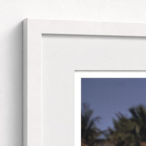 Palm Beach Party - Image 6