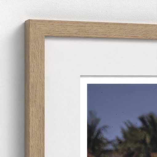 Palm Beach Party - Image 8