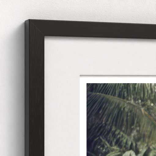 Palm Beach Pastels - Image 4