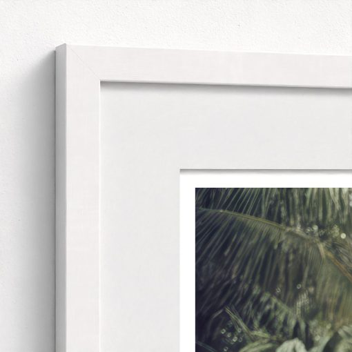 Palm Beach Pastels - Image 6
