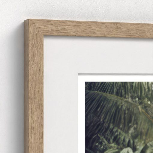 Palm Beach Pastels - Image 8