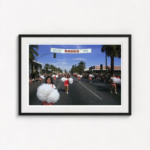 Palm Springs Cheerleaders - Image 3