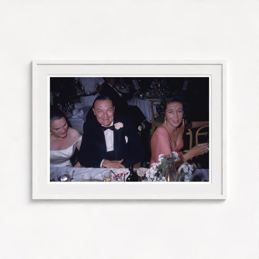 Party Pals - Image 5