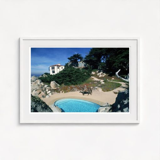 Poolside Equestrian - Image 5