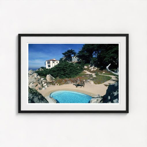 Poolside Equestrian - Image 3