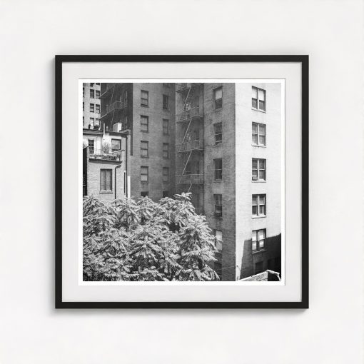 Rear Window Shoot - Image 3