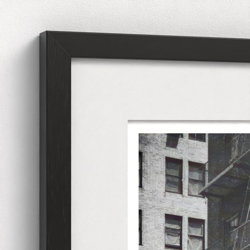 Rear Window Shoot - Image 4
