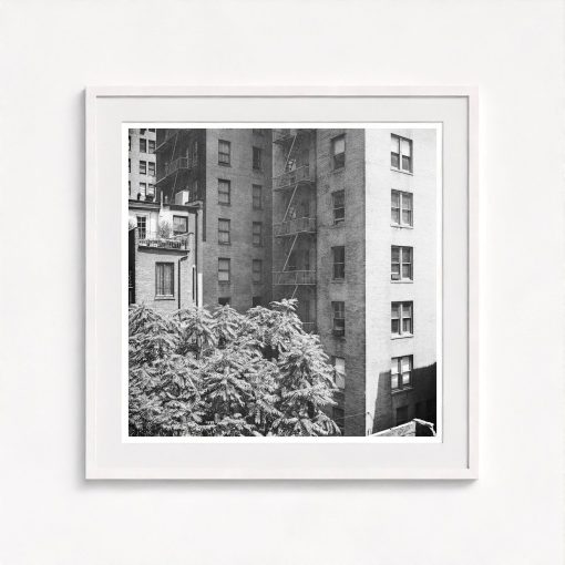Rear Window Shoot - Image 5