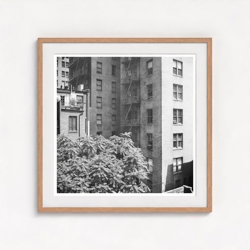 Rear Window Shoot - Image 7