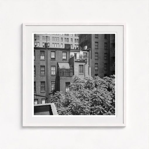 Rear Window Shoot - Image 5