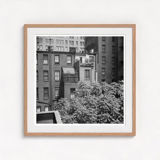 Rear Window Shoot - Image 7