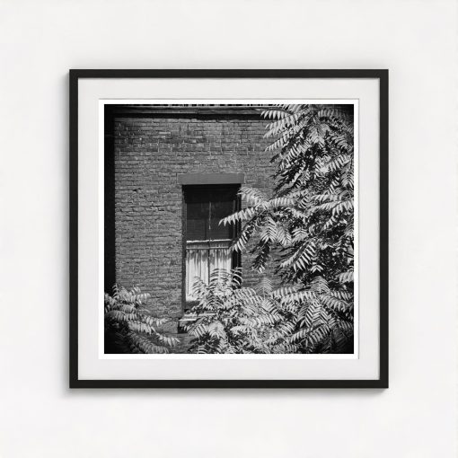 Rear Window Shoot - Image 3