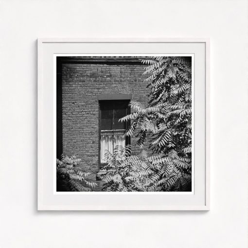 Rear Window Shoot - Image 5
