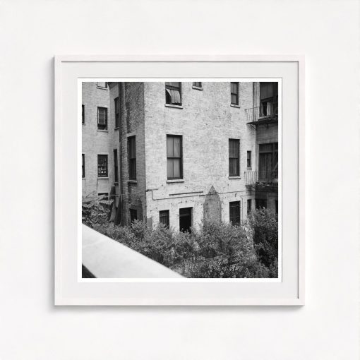 Rear Window Shoot - Image 5