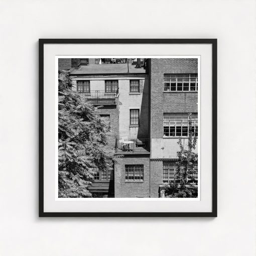 Rear Window Shoot - Image 3