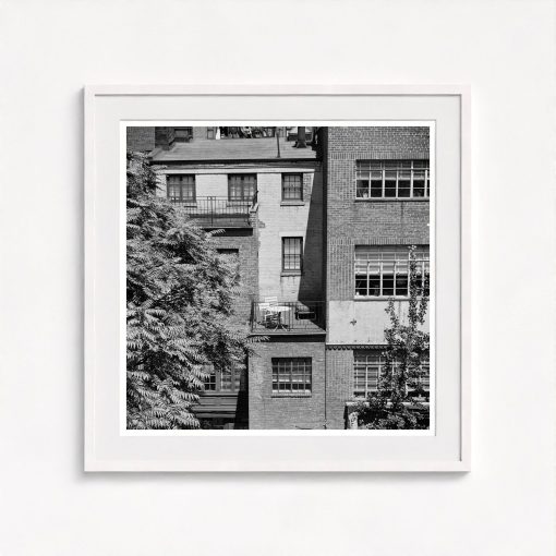 Rear Window Shoot - Image 5