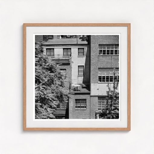 Rear Window Shoot - Image 7