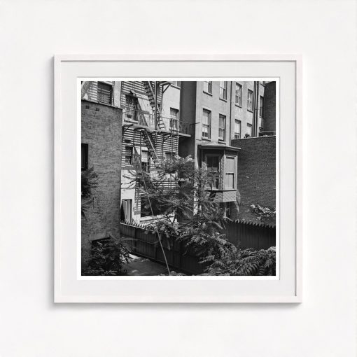 Rear Window Shoot - Image 5