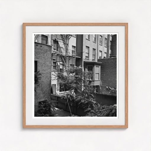 Rear Window Shoot - Image 7
